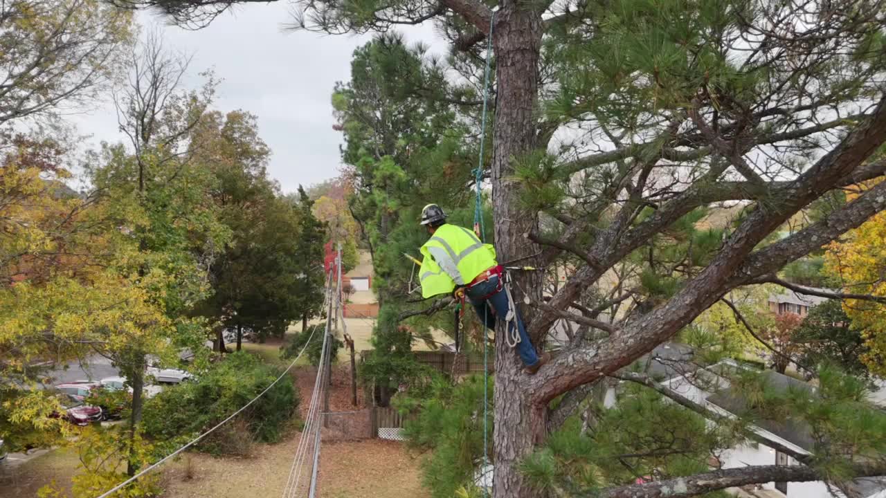 Edmond tree service crew providing professional tree care in Edmond, Oklahoma