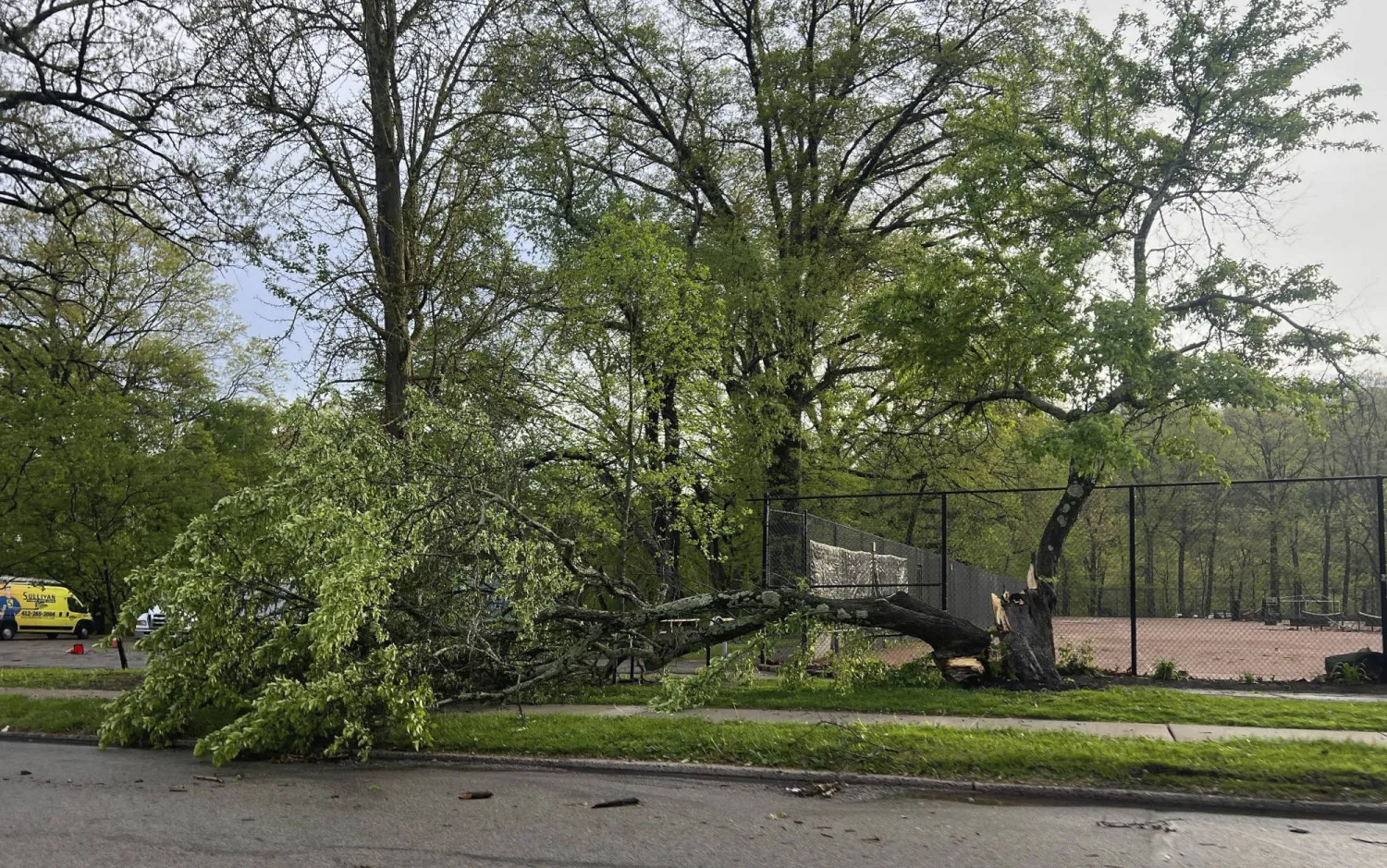 Storm damage tree cleanup in Edmond with same-day response when available