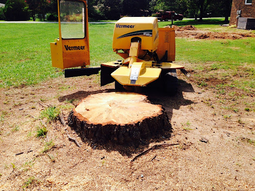 Professional stump grinding and removal in Edmond & OKC Metro - Complete yard restoration